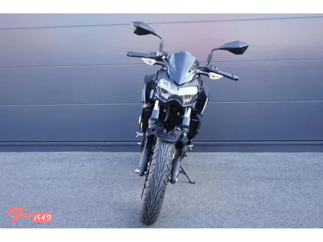 Kawasaki Z250 ABS 2026 — миниатюра 3