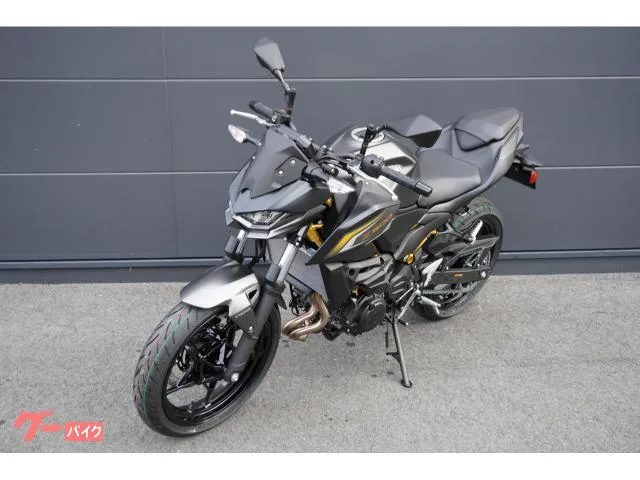 Kawasaki Z500 ABS 2026 — миниатюра 2