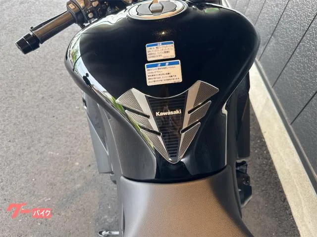 Kawasaki Ninja 1000 SX ETC 2023 — миниатюра 2