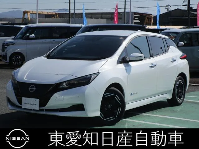 Nissan Leaf X 2024 — фото 1, купить с доставкой в Москву