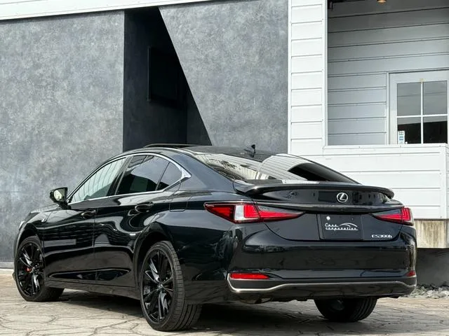 Lexus ES ES300H F SPORT 2023 — миниатюра 5