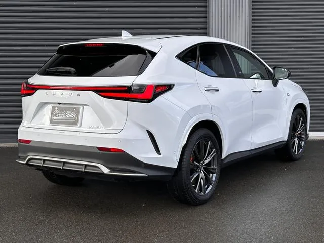 Lexus NX NX350H F SPORT 2023 — миниатюра 5