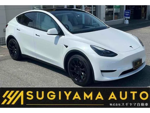 Tesla Model Y BASE GRADE 2022 — фото 1, купить с доставкой в Москву