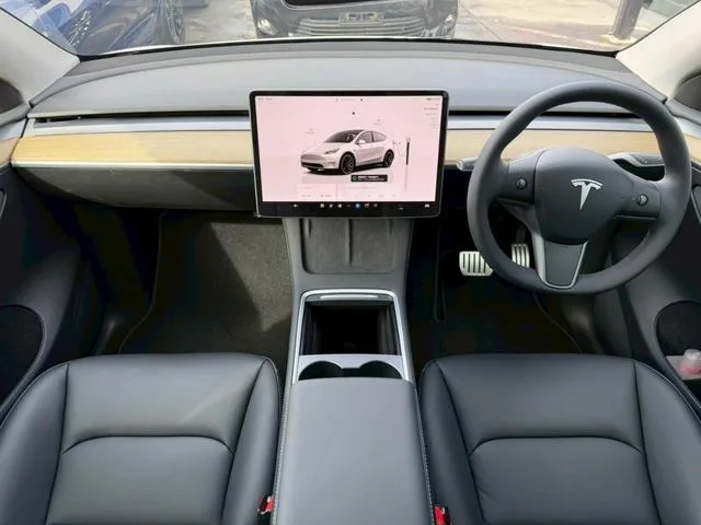 Tesla Model Y PERFORMANCE 2023 — миниатюра 2