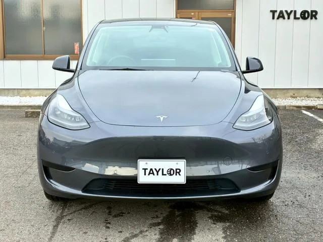 Tesla Model Y RWD 2022 — миниатюра 2