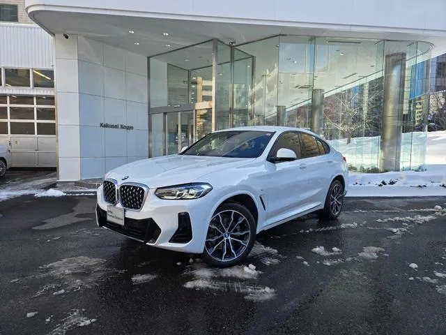 BMW X4 X DRIVE 20D M SPORT 2024 — фото 1, купить с доставкой в Москву