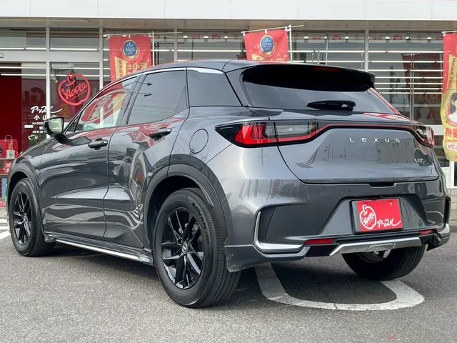 Lexus LBX RELAX 2024 — миниатюра 4