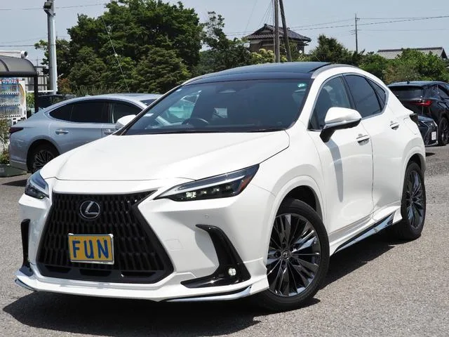 Lexus NX NX350H VERSION L 2023 — миниатюра 2
