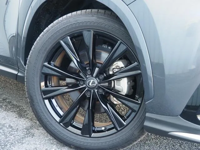 Lexus NX NX450H+ F SPORT 2023 — миниатюра 4