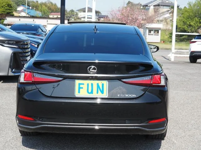 Lexus ES ES300H F SPORT 2023 — миниатюра 2