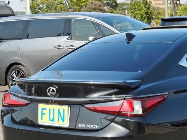 Lexus ES ES300H F SPORT 2023 — миниатюра 4