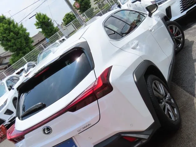 Lexus UX UX300H F SPORT 2025 — миниатюра 2