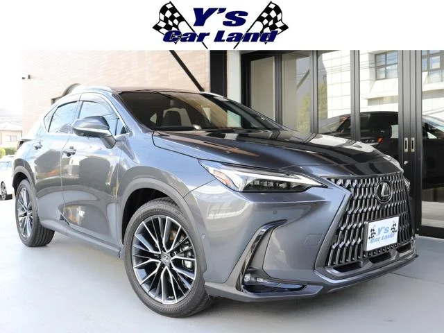 Lexus NX NX350H VERSION L 2023 — фото 1, купить с доставкой в Москву