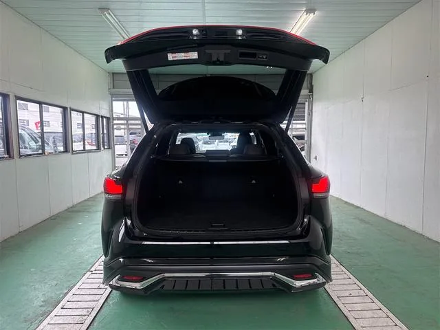 Lexus RX RX350 VERSION L 2023 — миниатюра 3