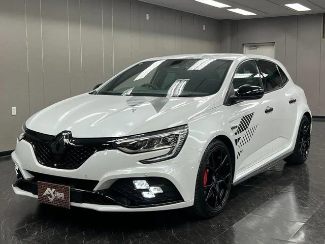 Renault Megane R.S.ULTIME 2024 — миниатюра 4