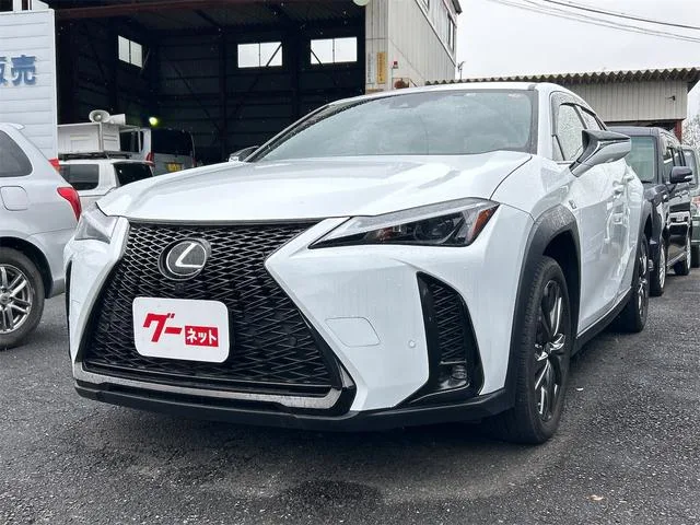 Lexus UX UX200 F SPORT 2022 — миниатюра 4