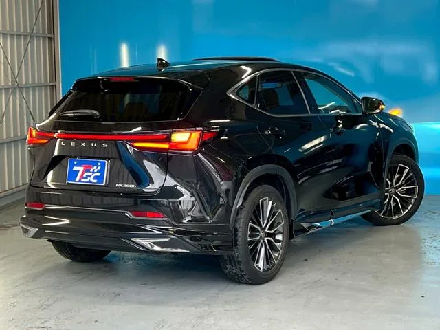 Lexus NX NX350H VERSION L 2023 — миниатюра 5