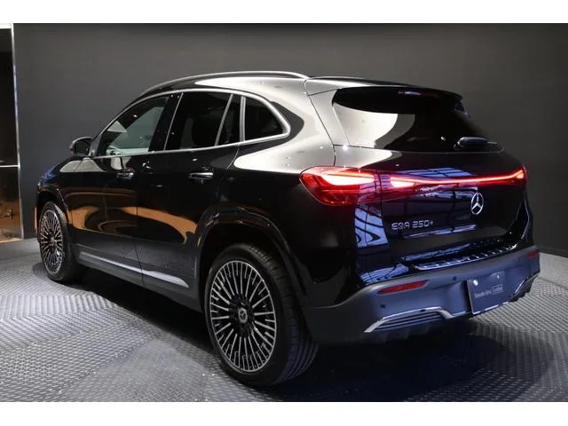 Mercedes-Benz EQA EQA250+ AMG LINE PACKAGE 2025 — миниатюра 2