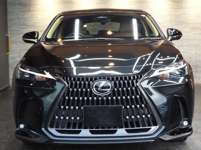 Lexus NX NX350H 2024 — миниатюра 2