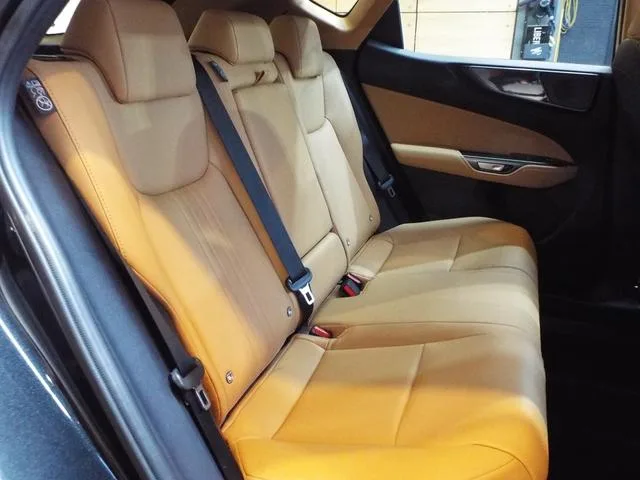 Lexus NX NX350H 2024 — миниатюра 5