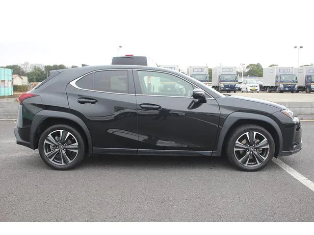 Lexus UX UX250H VERSION L 2023 — миниатюра 4