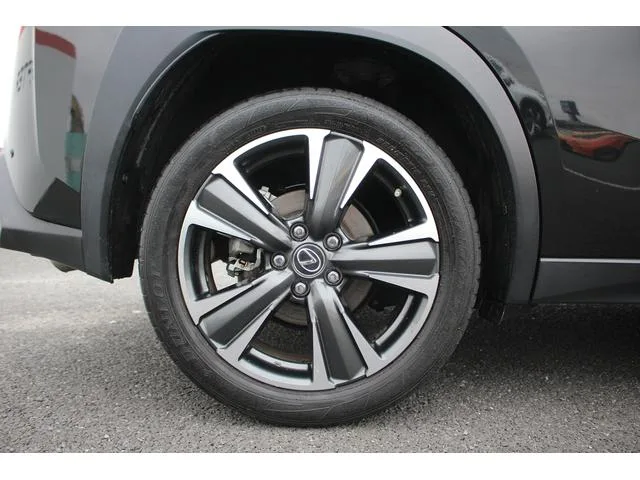 Lexus UX UX250H VERSION L 2023 — миниатюра 5