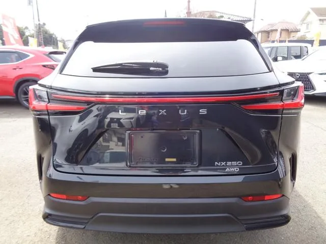 Lexus NX NX250 VERSION L 2022 — миниатюра 2
