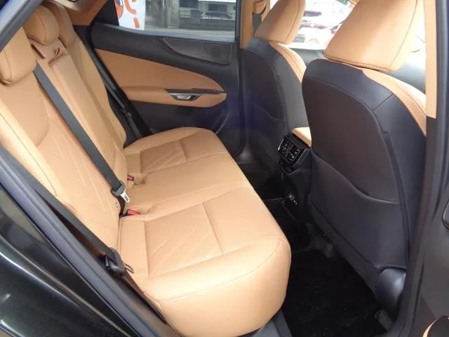Lexus NX NX250 VERSION L 2022 — миниатюра 5