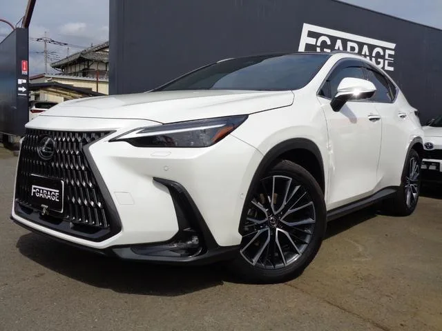 Lexus NX NX350H VERSION L 2023 — фото 1, купить с доставкой в Москву