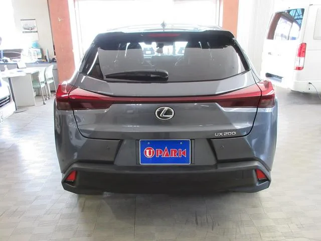Lexus UX UX200 VERSION L 2023 — миниатюра 2