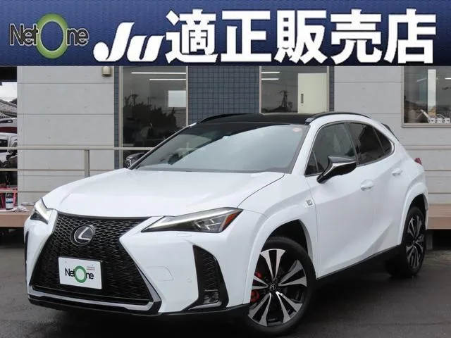 Lexus UX UX250H F SPORT EMOTIONAL EXPLORER 2023 — фото 1, купить с доставкой в Москву