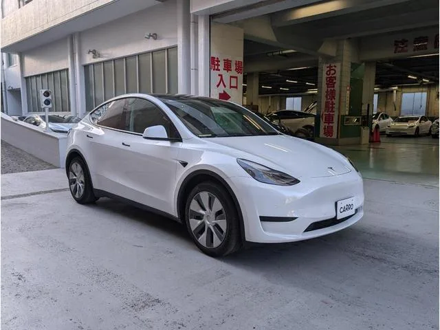 Tesla Model Y 2022 — миниатюра 2