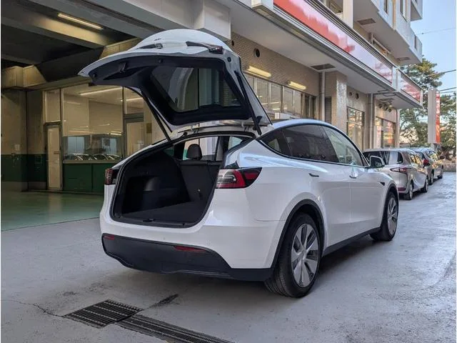 Tesla Model Y 2022 — миниатюра 4