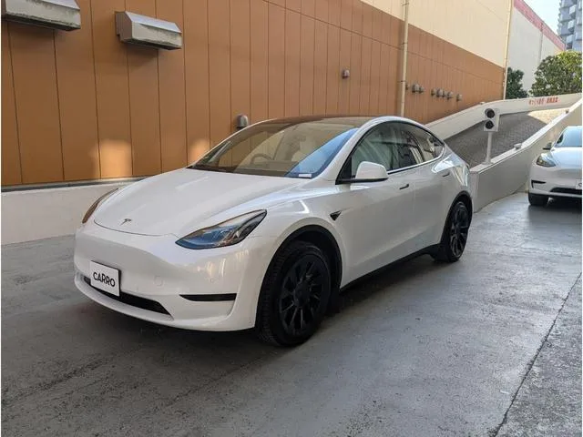 Tesla Model Y RWD 2023 — миниатюра 2