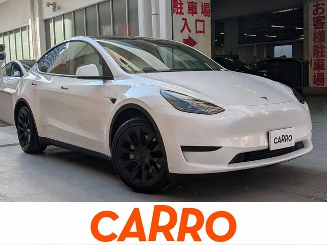 Tesla Model Y RWD 2023 — фото 1, купить с доставкой в Москву