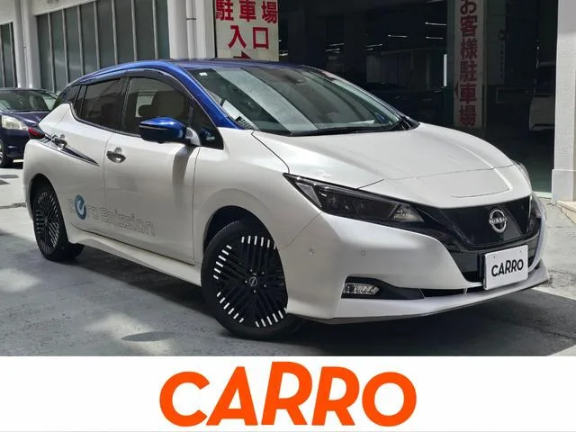 Nissan Leaf e+ G 2023 — фото 1, купить с доставкой в Москву