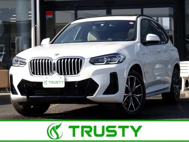 BMW X3 X DRIVE 20D M SPORT 2023 — фото 1, купить с доставкой в Москву