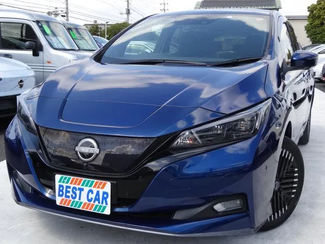 Nissan Leaf e+ G 2023 — фото 1, купить с доставкой в Москву
