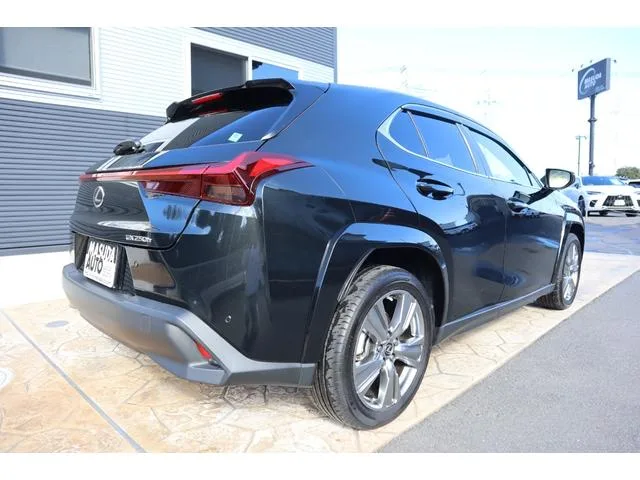 Lexus UX UX250H GRACEFUL EXPLORER 2023 — миниатюра 2
