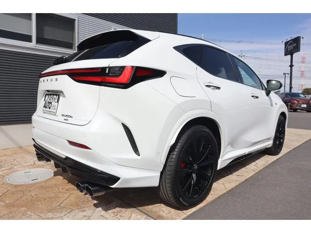 Lexus NX NX450H+ F SPORT 2023 — миниатюра 2