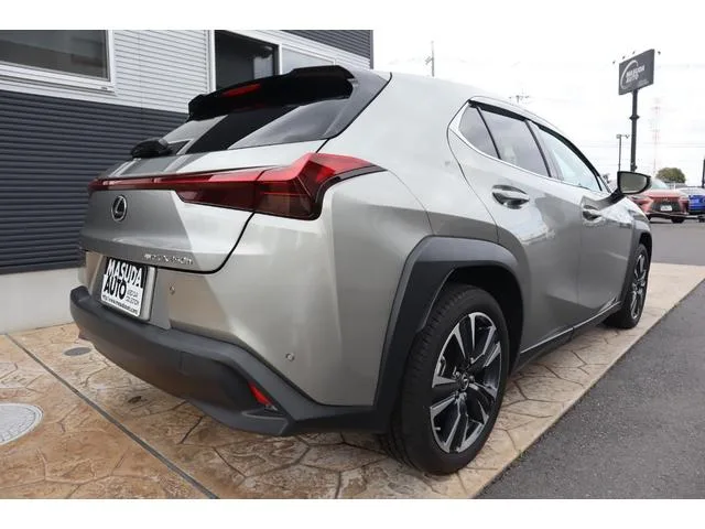 Lexus UX UX250H VERSION L 2023 — миниатюра 2