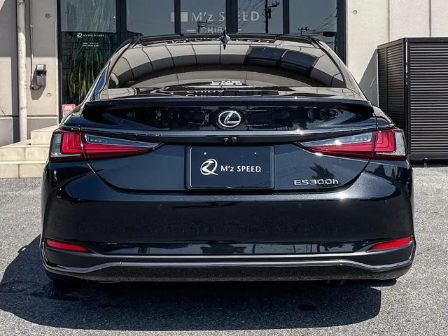 Lexus ES ES300H F SPORT 2023 — миниатюра 5