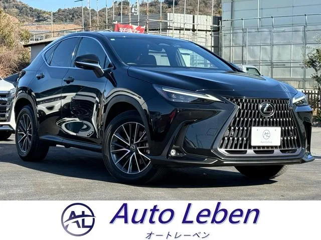 Lexus NX NX350H 2023 — фото 1, купить с доставкой в Москву