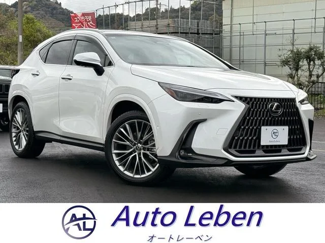 Lexus NX NX350H VERSION L 2024 — фото 1, купить с доставкой в Москву
