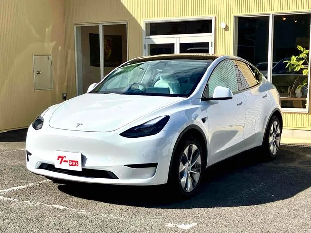 Tesla Model Y 2024 — фото 1, купить с доставкой в Москву