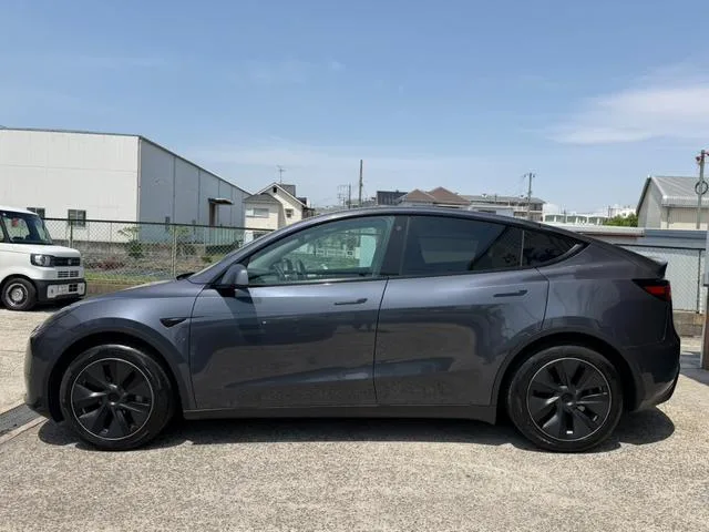 Tesla Model Y RWD 2024 — миниатюра 4