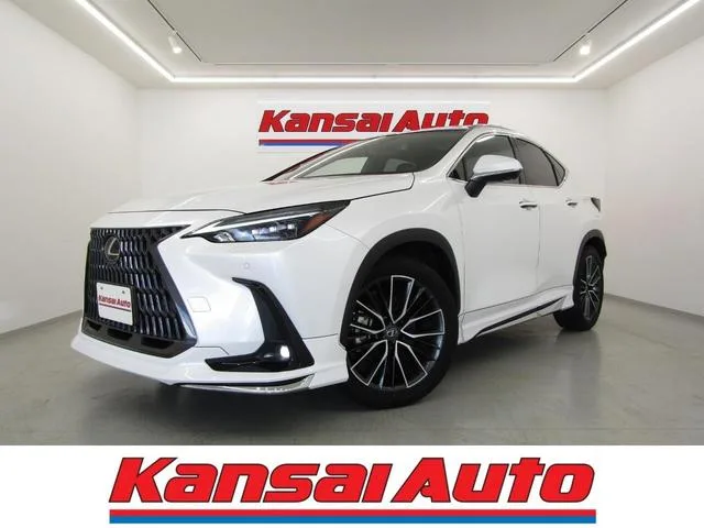 Lexus NX NX250 VERSION L 2023 — фото 1, купить с доставкой в Москву