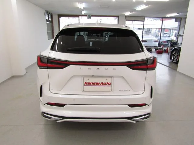 Lexus NX NX250 VERSION L 2023 — миниатюра 2