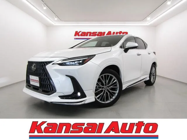 Lexus NX NX250 VERSION L 2023 — фото 1, купить с доставкой в Москву