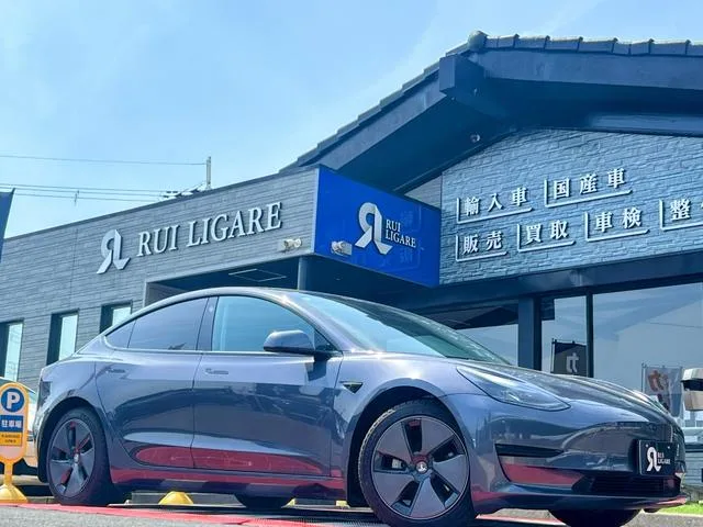 Tesla Model 3 RWD 2022 — миниатюра 2